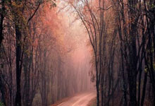 股票怎么网上开户流程:股票配资网站查询-关税突发！特朗普谈印度“削减关税至零”提议：时机已晚